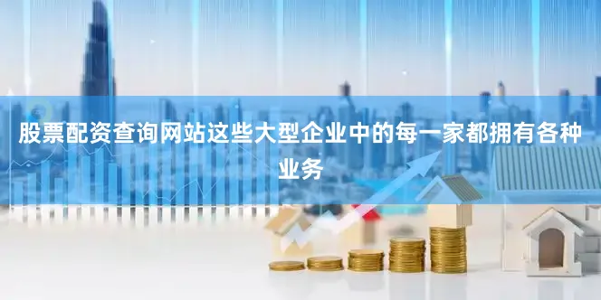 股票配资查询网站这些大型企业中的每一家都拥有各种业务