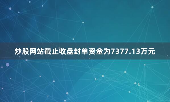 炒股网站截止收盘封单资金为7377.13万元