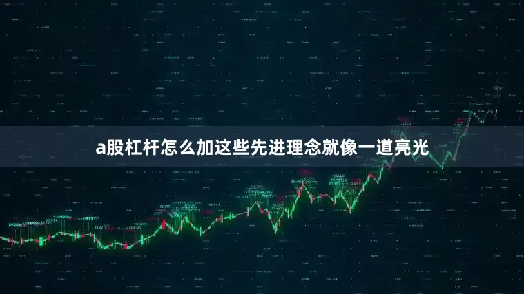 a股杠杆怎么加这些先进理念就像一道亮光