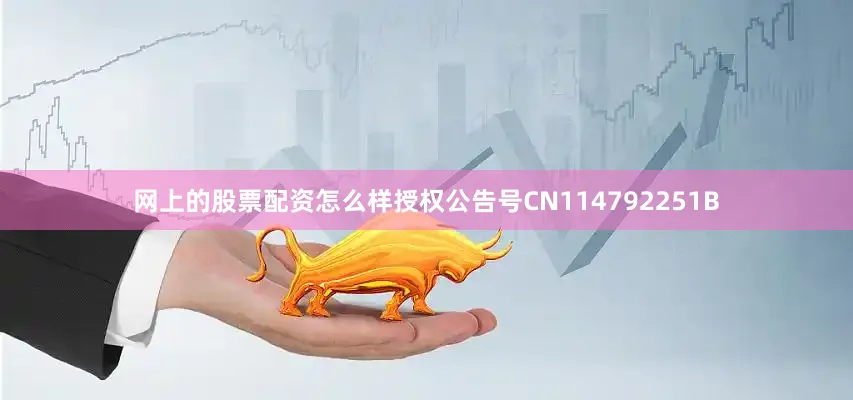 网上的股票配资怎么样授权公告号CN114792251B