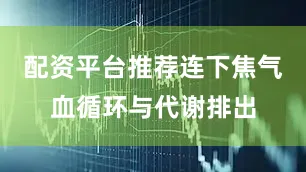 配资平台推荐连下焦气血循环与代谢排出
