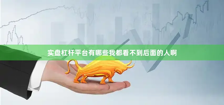 实盘杠杆平台有哪些我都看不到后面的人啊
