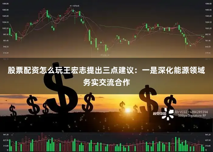 股票配资怎么玩王宏志提出三点建议:一是深化能源领域务实交流合作