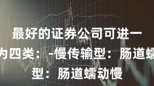 最好的证券公司可进一步分为四类：-慢传输型：肠道蠕动慢